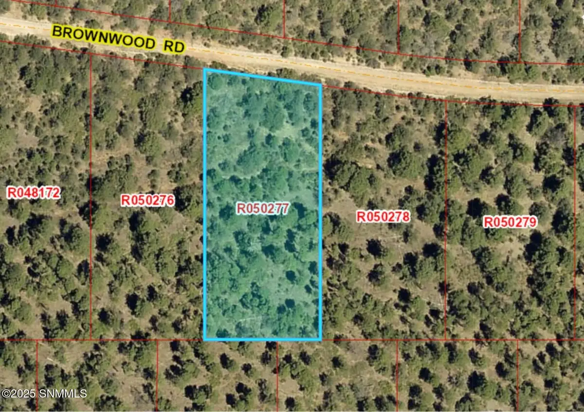 68 Brownwood Road, Timberon, NM 88350 - #1