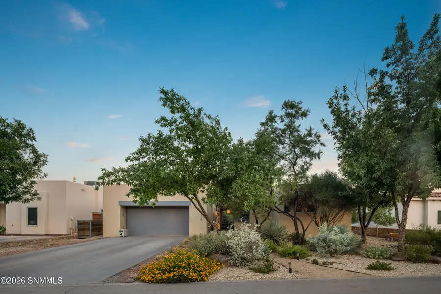 1910 Calle Pacana, Mesilla, NM 88046 - #2
