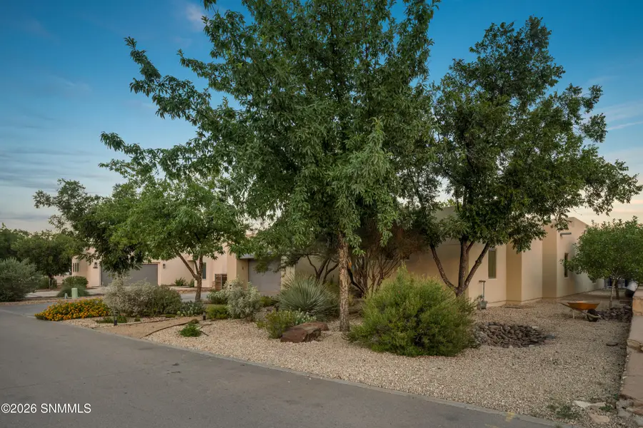 1910 Calle Pacana, Mesilla, NM 88046 - #3