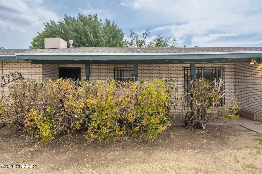 1930 Rosedale Drive, Las Cruces, NM 88005 - #3