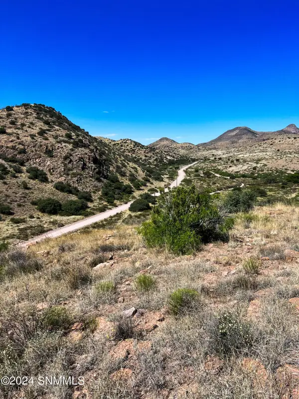81 Berrenda Creek, Hillsboro, NM 88042