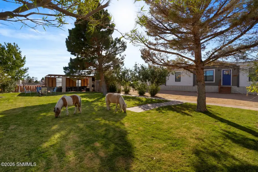 140 Argelia Drive, Chaparral, NM 88081 - #2