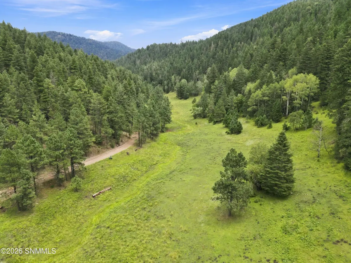 TBD Wills Canyon Road, Cloudcroft, NM 88317 - #1