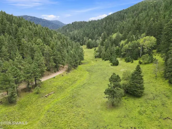TBD Wills Canyon Road, Cloudcroft, NM 88317
