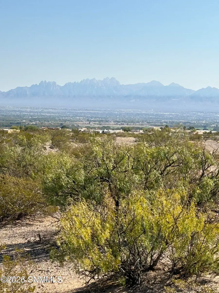 1373 Arco De Goya, Las Cruces, NM 88007 - #3