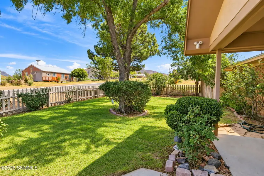 15820 Furnace Street, Organ, NM 88052 - #3