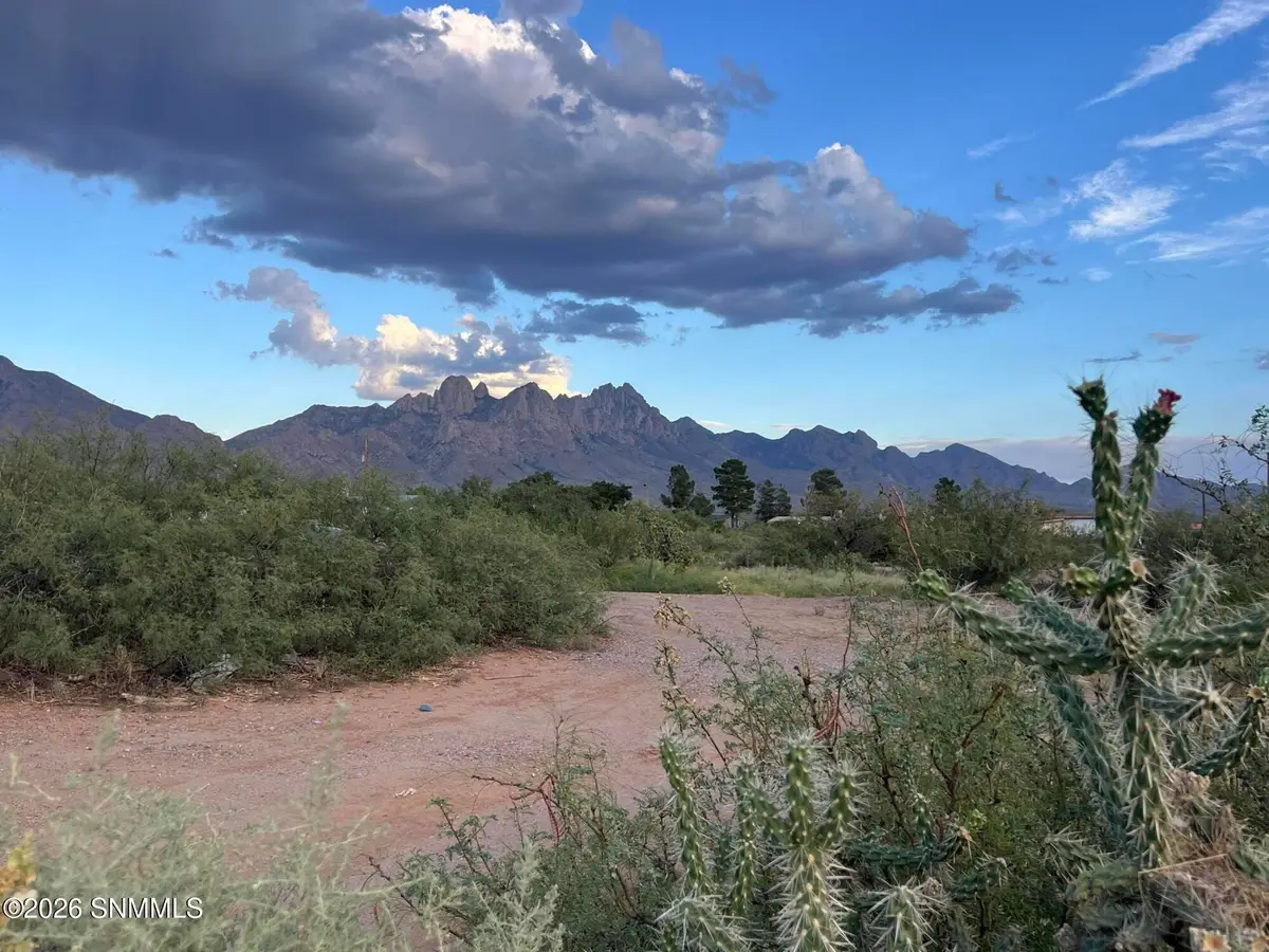 9200 Higgins Lane, Las Cruces, NM 88011 - #1