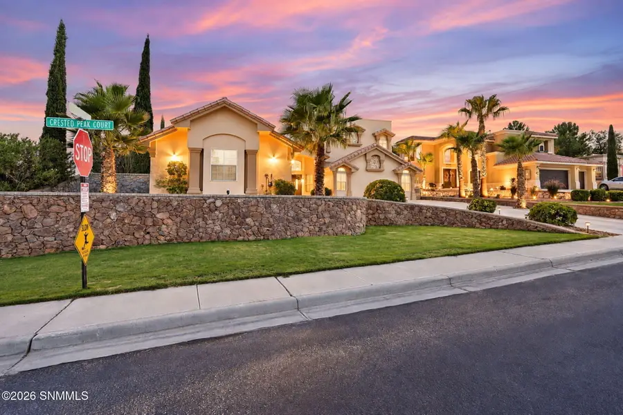 115 Crested Peak Court, Santa Teresa, NM 88008 - #3