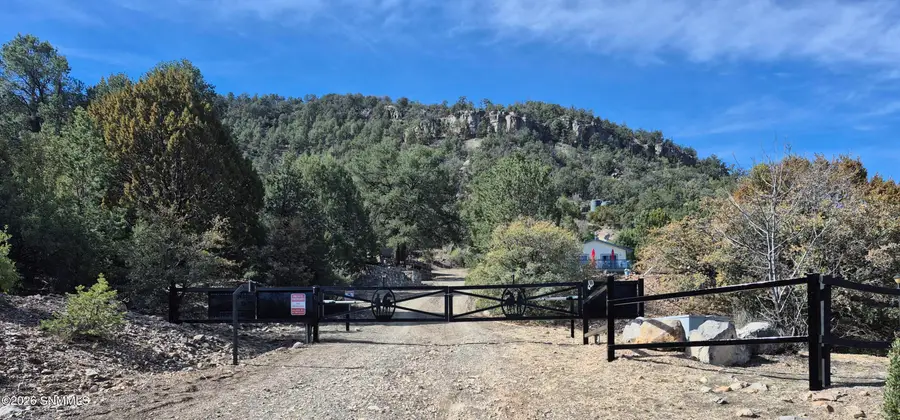 104 Georgetown Road, Mimbres, NM 88049 - #3