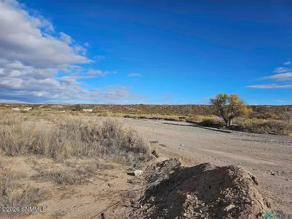 TBD Las Palomas Cyn Road, Williamsburg, NM 87942