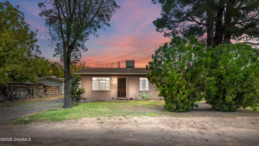 2731 Calle Cuarta, Mesilla, NM 88046 - #3