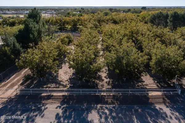 3992 Amistad Drive, Las Cruces, NM 88005