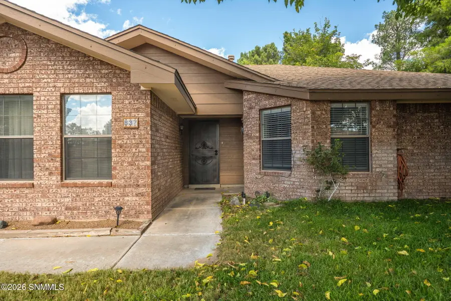 837 Rouault Avenue, Las Cruces, NM 88007 - #3