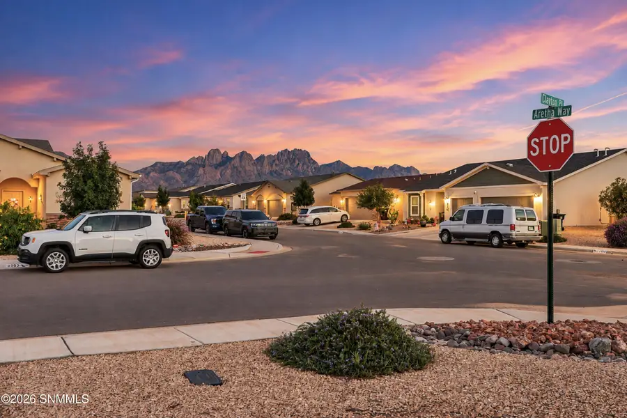 6103 Clapton Place, Las Cruces, NM 88012 - #2