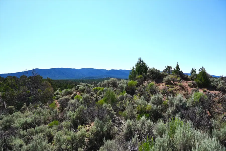 00 Nm Sr 96, Regina, NM 87046 - Image #2