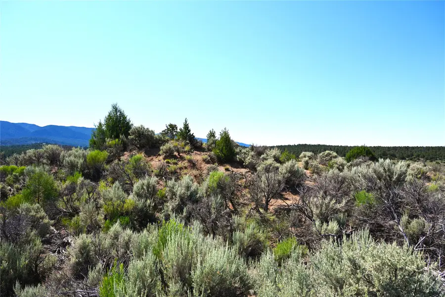 00 Nm Sr 96, Regina, NM 87046 - Image #3