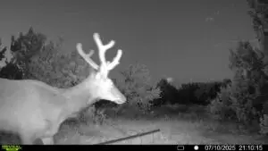 #2