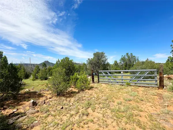 10 Acres On County Road B26d, , NM 87569