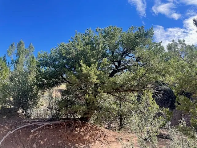 2 Eccola Lane, Santa Fe, NM 87506 - #3