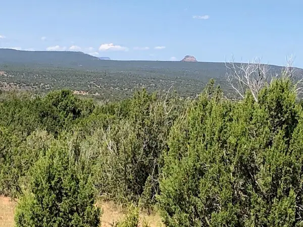1226 Cr B28a, , NM 87583