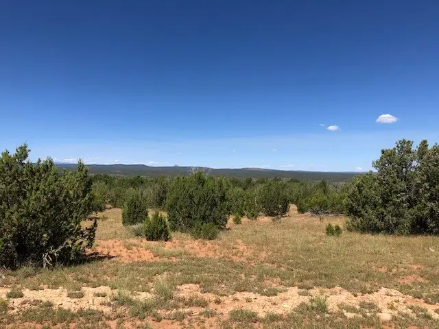 1226 Cr B28a, Villanueva, NM 87583 - #2