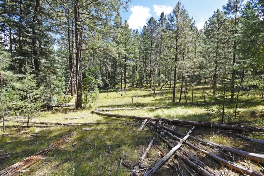 0 Thomsens Point, Jemez Springs, NM 87025 - Image #2