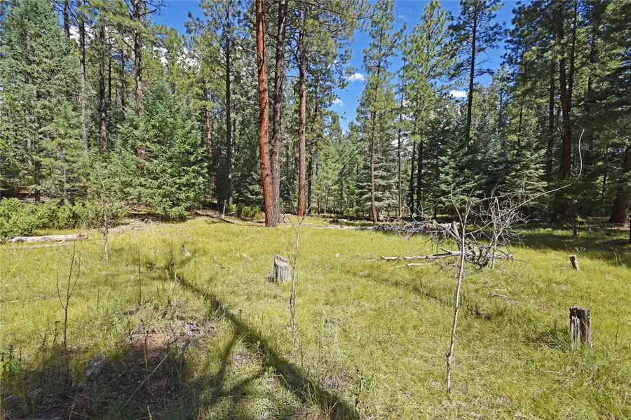 0 Thomsens Point, Jemez Springs, NM 87025 - Image #3