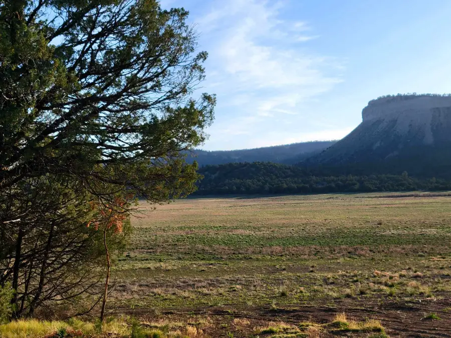 5 Oak Brush Lane, Tierra Amarilla, NM 87575 - #2