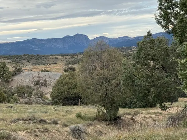 31 Bobcat Loop, Los Ojos, NM 87551