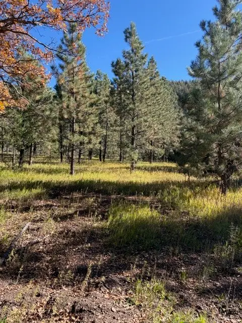 Lot F-2, Section 21,2.024 Acres In El Macho Canyo, Pecos, NM 87552 - Image #2