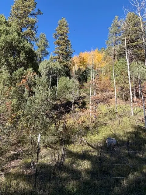 Lot F-2, Section 21,2.024 Acres In El Macho Canyo, Pecos, NM 87552 - Image #3