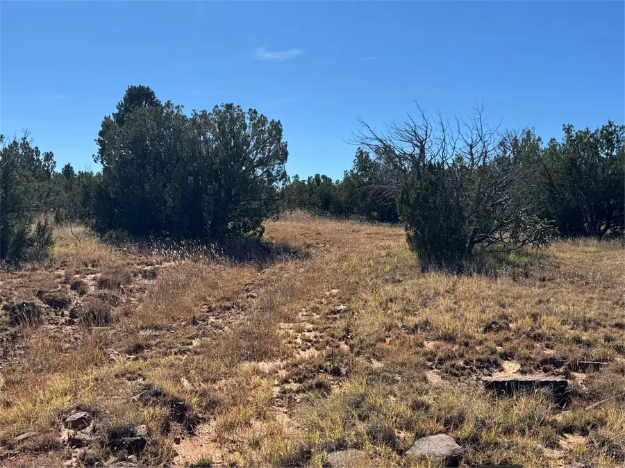 158.81 Off B27a, Serafina, NM 87569 - #2