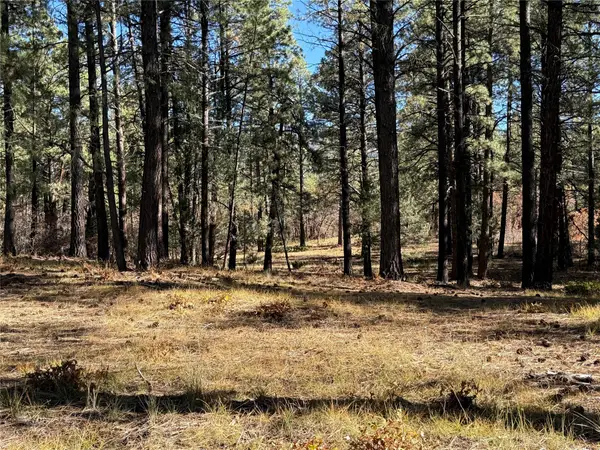 0 Venado, Chama, NM 87575