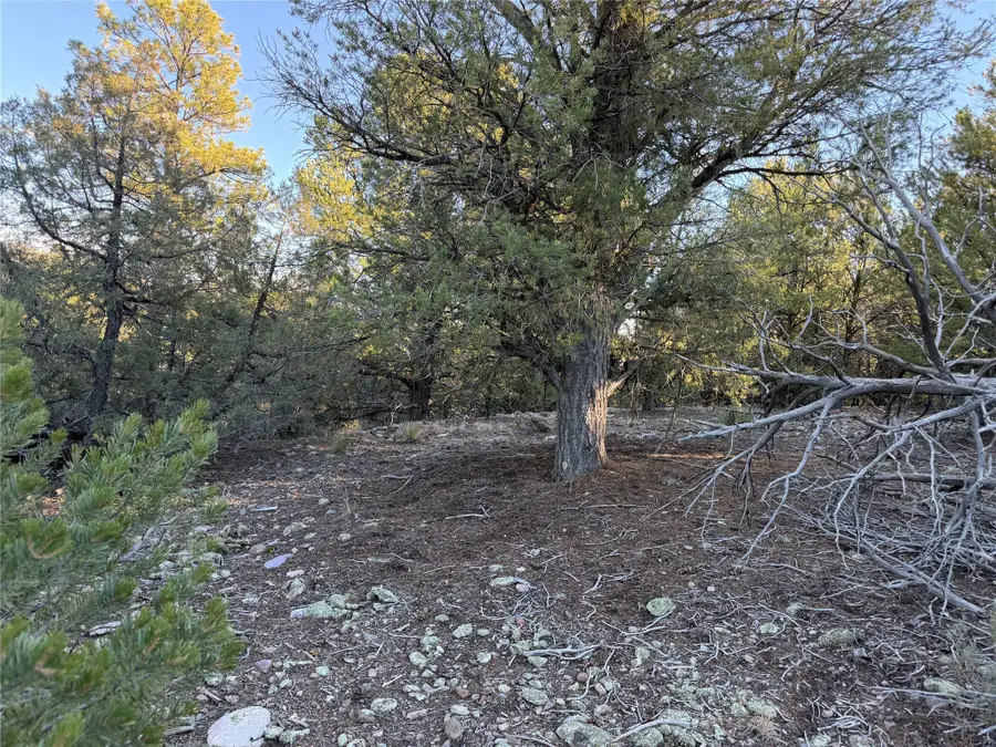 TBD Talavera Lot: 7-b2, Tierra Amarilla, NM 87575 - Image #3