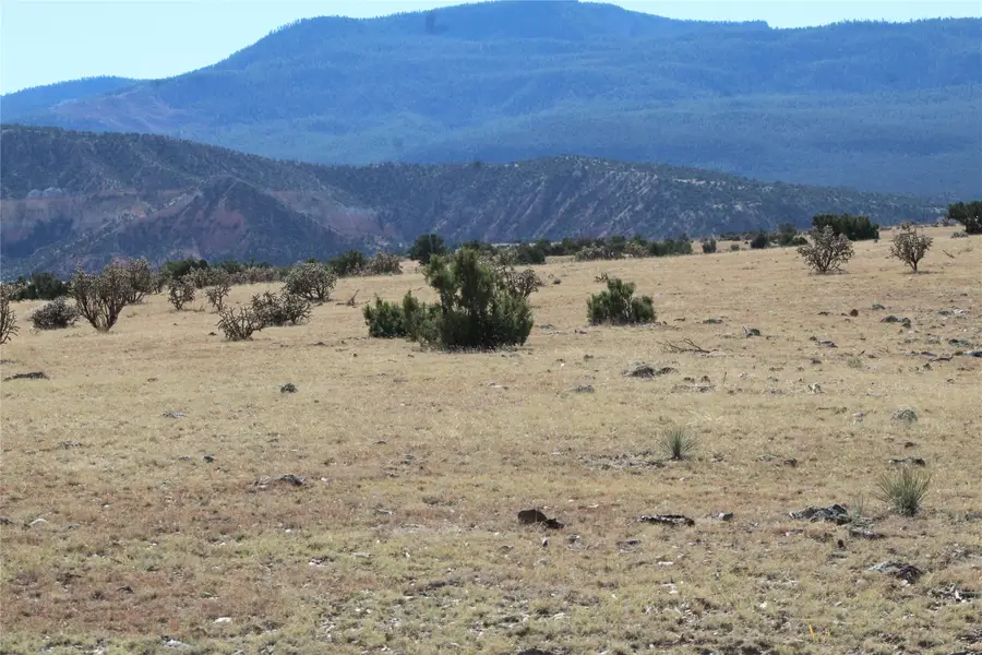 TRACT 5-C La Joya - Nm 96, Youngsville, NM 87604 - Image #3