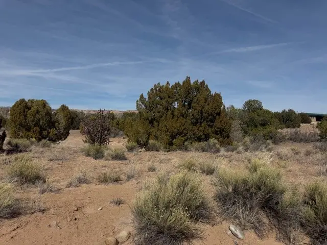 0.69 Acre Buffalo Trail Extension, Abiquiu, NM 87510 - #2