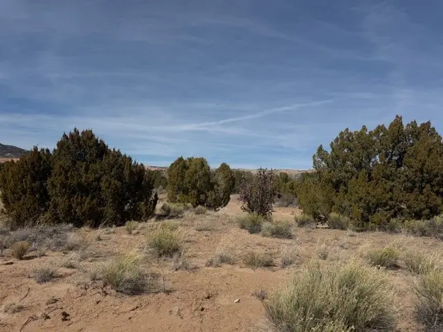 0.69 Acre Buffalo Trail Extension, Abiquiu, NM 87510 - #3