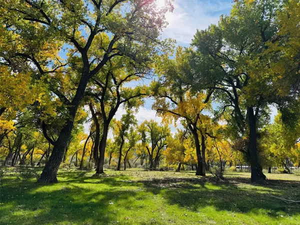 1459 N Nm 173, Navajo Dam, NM 87419