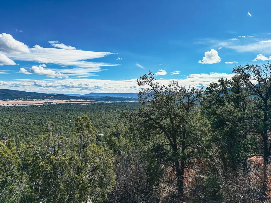 Tracts D1, D2-A, D2-B Dragonfly Canyon Rd, Rowe, NM 87562 - Image #3