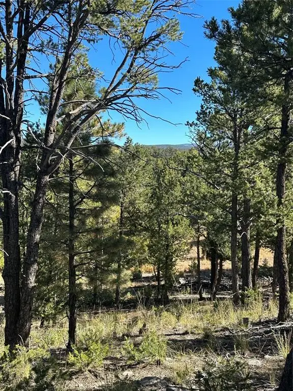 59 Silver Feather Trail, Pecos, NM 87552 - Image #1