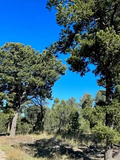 59 Silver Feather Trail, Pecos, NM 87552 - Image #2