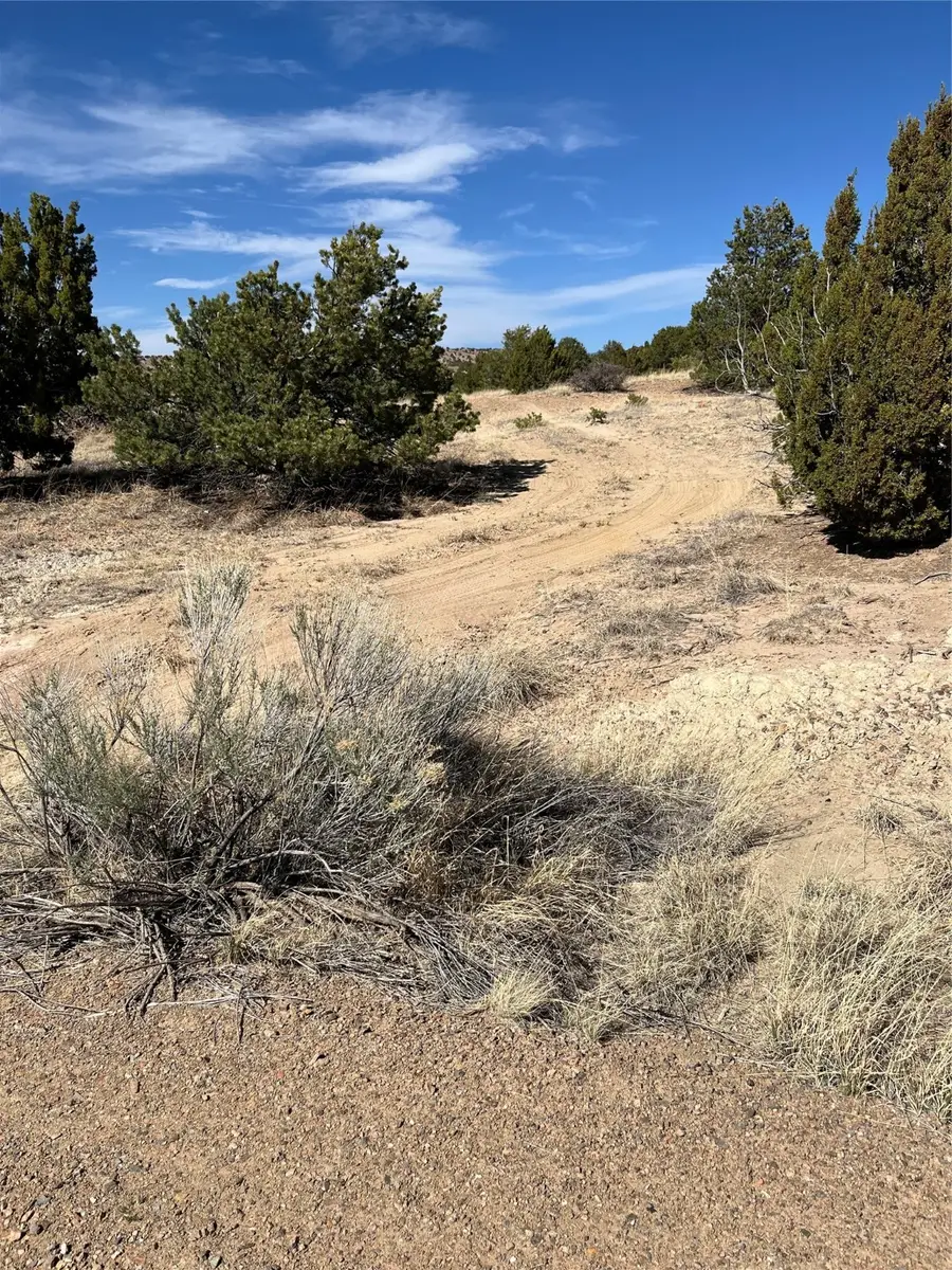 54 Southern Crescent, Lamy, NM 87540 - Image #2