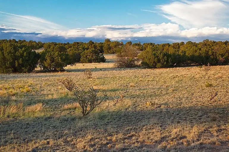 54 Southern Crescent, Lamy, NM 87540 - Image #3