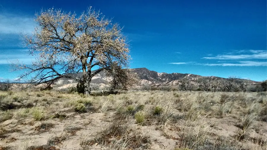Lot 5 El Porvenir, Abiquiu, NM 87510 - Image #2