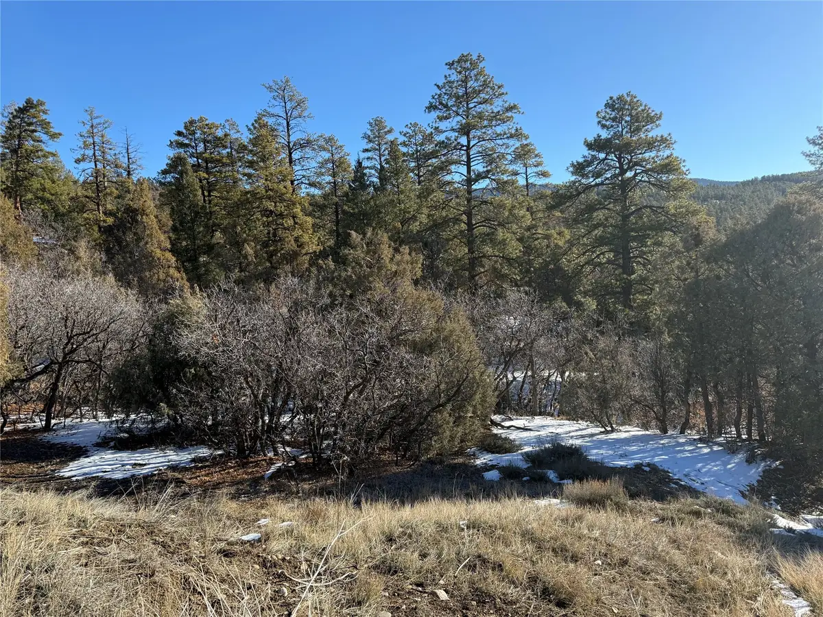 0 Unit 1, Tr-9b, Ponderosa, Chama, NM 87520 - Image #1