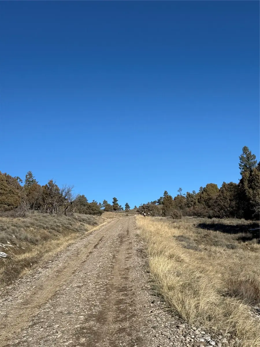 0 Unit 1, Tr-9b, Ponderosa, Chama, NM 87520 - Image #2