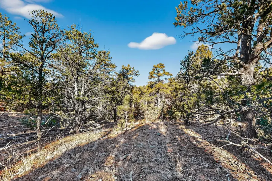 0 La Posta Way Tract 7-2, Santa Fe, NM 87505 - Image #3