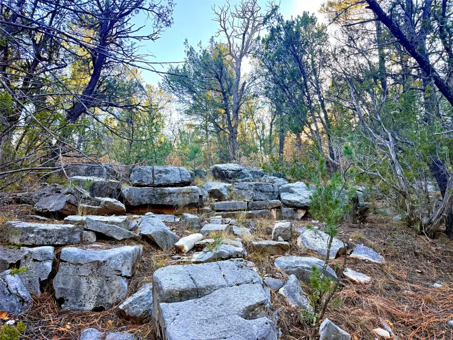 0 Tijeras, Tijeras, NM 87059 - Image #2