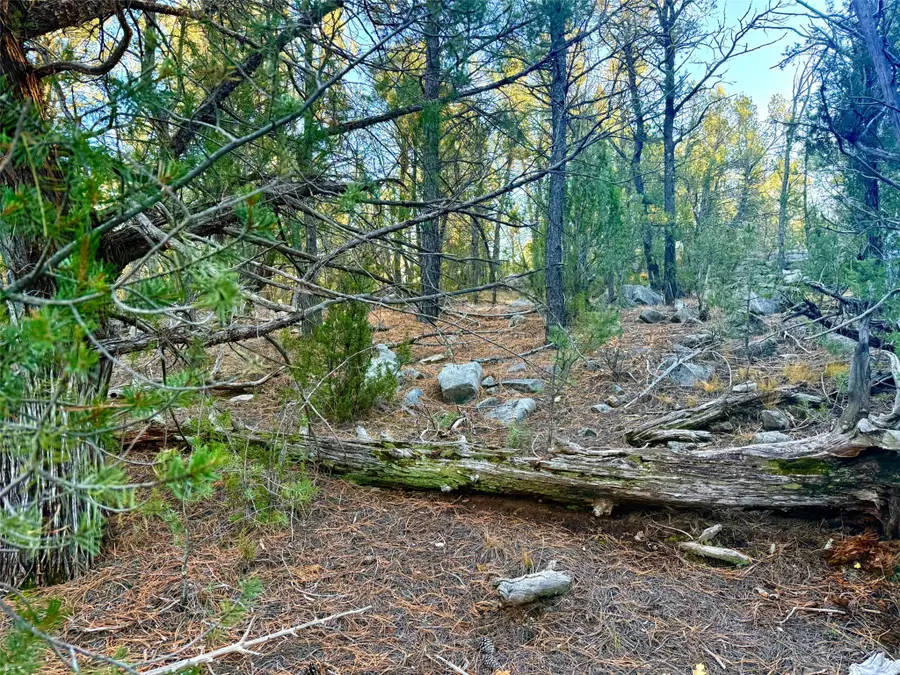 0 Tijeras, Tijeras, NM 87059 - Image #3