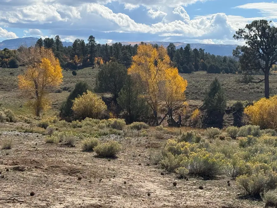 16853 Us-84 #64, Tierra Amarilla, NM 87575 - Image #2